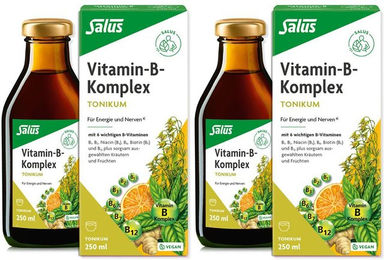 Salus Vitamin-B-Komplex Tonikum Flüssig Vegan und Vegetarisch 250 ml – Bild 1 von 1