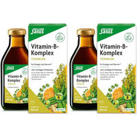 Produktbild von Salus Vitamin-B-Komplex Tonikum Flüssig Vegan und Vegetarisch 250 ml