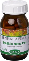 Sanatur Rhodiola Rosea Plus B-Komplex Kapseln 60 Stück – Bild 1 von 2