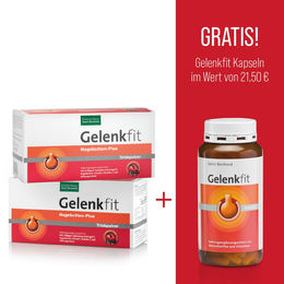 Sanct Bernhard Gelenkfit-Bundle 3er-Set mit Hagebutte – Bild 1 von 1