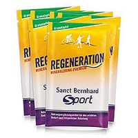 Produktbild von Sanct Bernhard Sport Regeneration Mineraldrink Granatapfel Pulver Sticks vegan glutenfrei laktosefrei 11 x 20 g