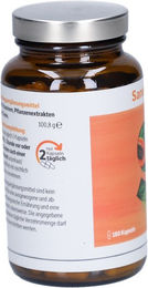 Sanomucin Helixor Heilmittel GmbH Multi-Enzym-Komplex Kapseln 180 Stück – Bild 1 von 2