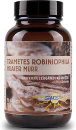 Sanos Trametes Robiniophila Pilzextrakt Kapseln vegan glutenfrei laktosefrei ohne Zusatzstoffe – Bild 1 von 2