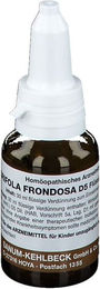Sanum-Kehlbeck Grifola frondosa D5 Tropfen – Bild 1 von 2