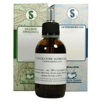 Produktbild von Sarandrea Boldo Muttertinktur Tropfen 100 ml