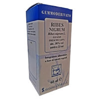 Produktbild von Sarandrea Ribes Nigrum Glycerin-Extrakt Tropfen 60 ml