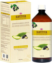 Sattva Foods Saft aus Bittermelone und Kreuzkümmelfrüchten 1 Liter – Bild 1 von 1