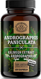 Scheunengut Andrographis Paniculata Kalmegh Extrakt 10:1 Vegan Kapseln 120 Stück – Bild 1 von 4