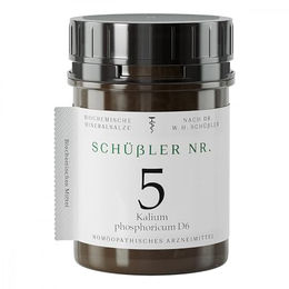 Schüssler Nr. 5 Kalium phosphoricum D6 Tabletten 1000 Stück – Bild 1 von 1