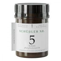Produktbild von Schüssler Nr. 5 Kalium phosphoricum D6 Tabletten 1000 Stück