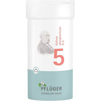 Produktbild von Schüßler-Salz Nr. 5 Kalium phosphoricum D6 Pflüger Pulver glutenfrei 100 g