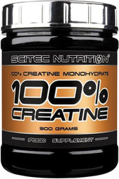 Scitec Nutrition Creatine Monohydrat Kapseln 1000 mg 240 Stück – Bild 1 von 1