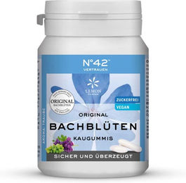Selbstvertrauen Kaugummi nach Dr. Bach von Hager Pharma, zuckerfrei, vegan und glutenfrei, 40 Stück – Bild 1 von 1