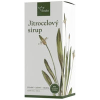 Produktbild von Serafin byliny Flohsamenschalen flüssig 200 ml