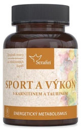 Serafin byliny L-Carnitin Bisglycinat Kapseln für Sportler 90 Stück – Bild 1 von 1