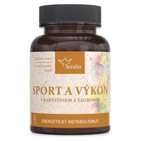 Produktbild von Serafin byliny L-Carnitin Bisglycinat Kapseln für Sportler 90 Stück