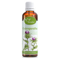 Produktbild von Serafin byliny Mariendistel-Kräutertinktur alkoholfreie Tropfen 50 ml