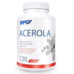 SFD Acerola Tabletten mit Hagebutte 120 Stück – Bild 1 von 1