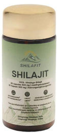 Shilafit Shilajit Mineralstoff-Komplex 500 mg Kapseln ohne Zusatzstoffe 60 Kapseln – Bild 1 von 2