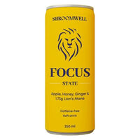 Produktbild von SHROOMWELL Konzentrationsgetränk mit Stacheliger Soplówka 250 ml