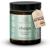 Produktbild von smaints BIO Chaga Dual-Extrakt Kapseln Bio 90 Stück