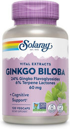 Solaray Ginkgo Biloba Extrakt 60 mg 24% Vegan Kapseln 120 Stück – Bild 1 von 3