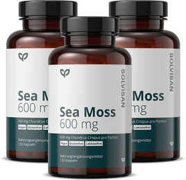 SOLVISAN Sea Moss Chondrus Crispus Knorpeltang 600 mg Kapseln ohne Zusatzstoffe 120 Stück – Bild 1 von 1