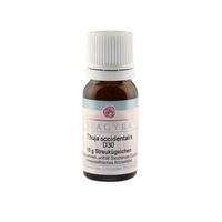 Produktbild von Spagyra Thuja occidentalis D 30 Globuli 10 g
