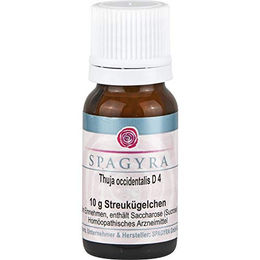 Spagyra Thuja Occidentalis D 4 Globuli – Bild 1 von 1