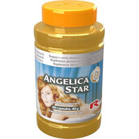 Produktbild von Starlife Angelica Star Kapseln 60 Stück