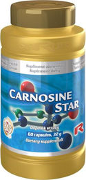 Starlife Carnosine Star Ubiquinon Kapseln 60 Stück – Bild 1 von 1