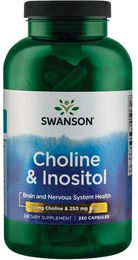 Swanson Cholin & Inositol Kapseln – Bild 1 von 2