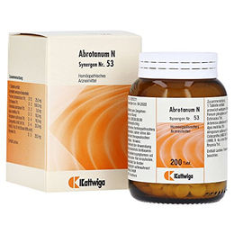 Synergon Komplex 53 Abrotanum N Tabletten von Kattwiga Arzneimittel GmbH 200 Stück – Bild 1 von 1
