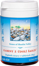 TCM Herbs 020 Steine des Shaolin-tals LI DAN WAN Kräuter-Komplex Tabletten 100 Stück – Bild 1 von 1