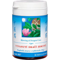 Produktbild von TCM Herbs Bi Min Gan Wan 007 Auflösen einer drachenhöhle Tabletten 100 Stück