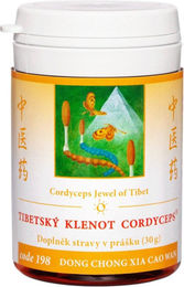 TCM Herbs Cordyceps Dong Chong Xia Cao Wan 30 g Pulver – Bild 1 von 1