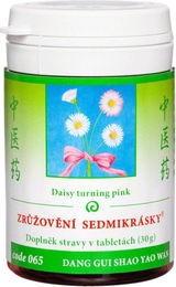 TCM Herbs Dang Gui Shao Yao Wan Kräuter-Komplex 100 Tabletten – Bild 1 von 1