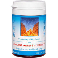 Produktbild von TCM Herbs Dao Chi Wan 016 Überwindung der Feuermündung 100 Tabletten