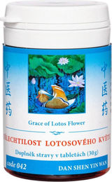 TCM Herbs Edles der Lotusblüte Dan Shen Yin Wan Tabletten 100 Stück – Bild 1 von 1