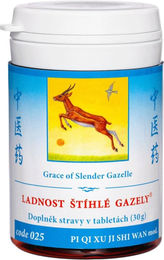 TCM Herbs Ji Shi Wan Grazie der schlanken Gazelle Tabletten 100 Stück – Bild 1 von 1