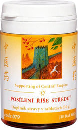 TCM Herbs JIE BAI WAN Kräuter-Komplex Tabletten 100 Stück – Bild 1 von 1