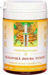 TCM Herbs Königspilz Yunzhi Pulver 30 g – Bild 1 von 1
