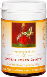 TCM Herbs Lebenswurzel Lingzhi Ganoderma Lucidum Wan Pulver 30 g – Bild 1 von 1