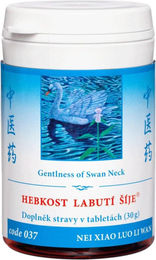 TCM Herbs Nei Xiao Luo Li Wan Kräuter-Komplex 100 Tabletten – Bild 1 von 1