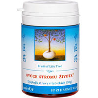 Produktbild von TCM Herbs Obst vom Baum des Lebens Kräuter-Komplex Tabletten 100 Stück