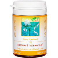 Produktbild von TCM Herbs Shen Qi Wan mit Astragalus Tabletten 100 Stück
