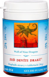 TCM Herbs Wand der neun drachen GUI ZHI FU LING WAN Kräuter-Komplex Tabletten 100 Stück – Bild 1 von 1