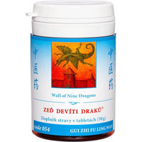 Produktbild von TCM Herbs Wand der neun drachen GUI ZHI FU LING WAN Kräuter-Komplex Tabletten 100 Stück