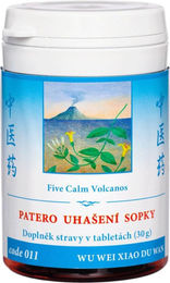 TCM Herbs Wu Wei Xiao Du Wan Kräuter-Komplex 100 Tabletten – Bild 1 von 1