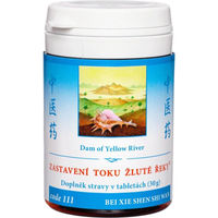 Produktbild von TCM Herbs Xie Shen Shi Wan Kräuter-Komplex Tabletten 100 Stück